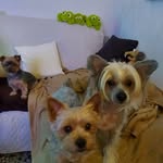 Virginia Bart - @bartvirginia - Instagram
