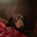 Virginia Bartels - Facebook