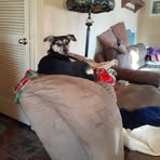 Virginia Bartlett - Facebook