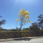 virginia novello basile - @virginianovellobasile - Instagram