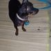 Berta Virginia - Facebook