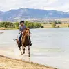 Virginia Biddle - @virginia.biddle - TikTok