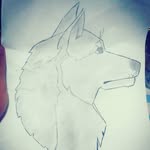 Virginia.bonelli - @virginia.bonelli - Instagram