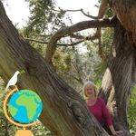 Virginia Brady - @virginiabrady5768 - Instagram