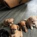 Virginia Bray - Facebook