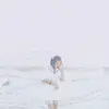 @VirginiaBray** - @virginiabray - TikTok