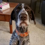 Virginia Cable - @va_cable - Instagram