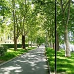 Virginia - @cappellivirginia82 - Instagram