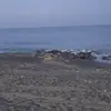 virginia scappelli - @virginiascappelli - TikTok