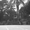 Virginia Corsoni - @virginiacorsoni - TikTok