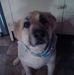 Virginia Darnell - Facebook