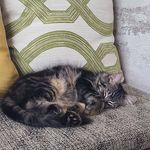 Virginia Devries - @virginia.devries.7 - Instagram