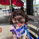 Virginia A. Dill - @ry06em09 - Instagram