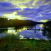 Virginia - @virginia.dorman3 - TikTok