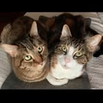 Virginia Doty - @va.do.125 - Instagram