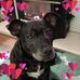 Virginia Doyle - Facebook