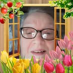 Virginia Doyle - Facebook
