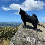 Virginia Driver - @virginiamdriver - Instagram