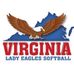 Virginia Lady Eagles 14U Lasher - Facebook
