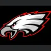 VirginiaEagles - @vaeaglesaa - TikTok