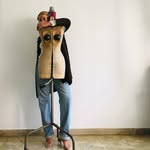 Virginia Becket - @virginia_becket - Instagram