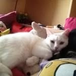 Virginia Eck - @virginia.eckert123 - Instagram