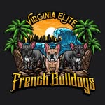 Virginia Elite French Bulldogs - @virginiaelite_frenchbulldogs - Instagram