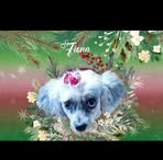 Virginia Ellison - Facebook