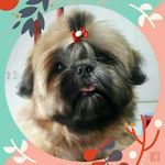 Virginia Estrella Pereyra - @estrellapereyra2000 - Instagram