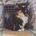 Lori Everatt - Facebook