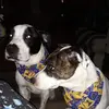 mawmawof9 - @virginiafalls8 - TikTok