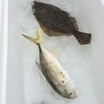 VA Fishing - @virginia.fishing - Instagram