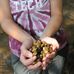 Virginia Tech Department of Fish and Wildlife Conservation - Facebook