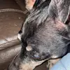 Virginiagfish - @virginiagfish - TikTok