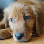 Virginia Fleming - @v.a.fleming - Instagram