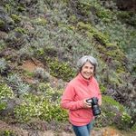 Virginia Fleming Rossi - @paisajesbiograficos - Instagram