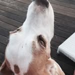 Ginny Flint - @virginiaflint - Instagram