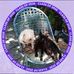 Virginia Floyd - Facebook
