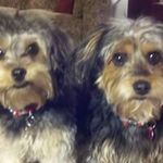 Virginia Floyd-Moyer - @looper_meme - Instagram