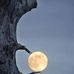Virginia Fogle - Facebook