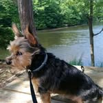 Virginia Fogle - @foglevirginia - Instagram