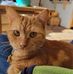 Virginia Frederickson - Facebook