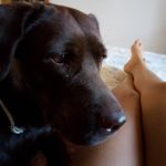 Virginia Gallo - @virgi_grace05 - Instagram