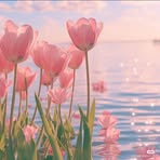 Virginia Garner - Facebook