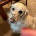 Virginia Ginger Tobias Coon - Facebook
