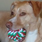 Virginia Giunta - Facebook