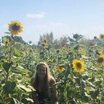 Virginia Lowe Glenn - @virginialoweglenn - Instagram