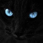 Asa Virginia Grey - @pretty_kitty_kat - Instagram