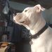 Clayton Halstead - Facebook