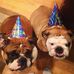 Virginia Pratt Halstead - Facebook